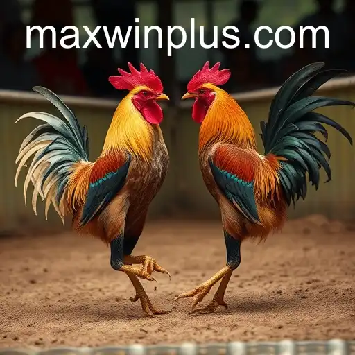 Exploring Sabong Games and the Rise of MAXWIN PLUS